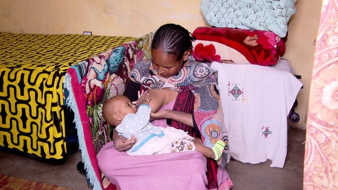 ብክባን ዕፅዋን ፋሽስታውያን ንከቢድ ዓፀቦ ዝተቃልዑ ነበርቲ ጉለምኸዳ