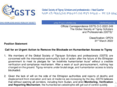 አለም አቀፍ የተጋሩ ባለሙያዎችና ምሁራን የአቋም መግለጫ