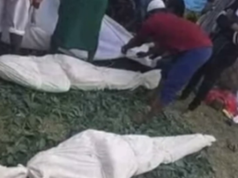 የማህብራዊ ሚድያ ውሎ፡፡