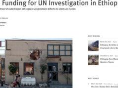 የመብት ጥሰቶችን በገልተኝነት ለማጣራት ለተሰየመው ቡድን የኢትዮጵያ መንግስት በጀት አልፈቅድም ማለቱ የተባበሩት መንግስታት ድርጅት ወቀሰ።