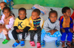 ዕፅዋ ዝፈጠሮ ስእነት መድሓኒት