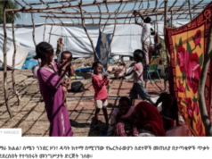 የኤርትራውያን ስደተኞች ጥቃት በአማራ ክልል