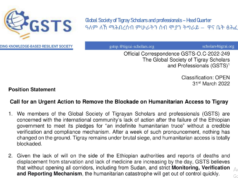 አለም አቀፍ የተጋሩ ባለሙያዎችና ምሁራን የአቋም መግለጫ