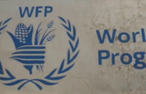 ድሕሪ እቲ ሰሙን ዘቑፀረ ምርድዳእ ተፃብኦ ደው ምባል ሕዚ እውን ትካላት ገበርቲ ሰናይ ናብ ትግራይ ምግቢ ከእትዎ ከምዘይካኣላ ተሓቢሩ፡፡