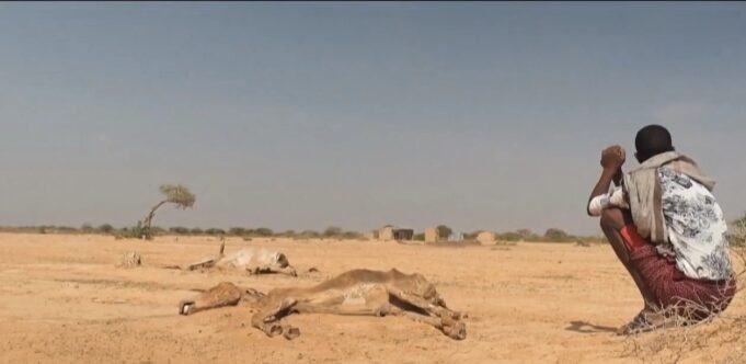 ጉዕዞ ኲናትን ቁጠባዊ ውድቀትን