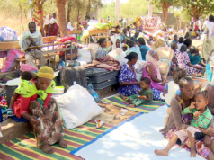 Amnisti international and Human rights wotchs የጋራ ሪፖርትን በተመለከተ የታዩ ህፀፆችን እንዲስተካከል ተጠየቀ፡፡