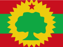 የኦሮሞ ነፃነት ግንባር በተለያዩ ፖሊስ መምሪያዎች ታስረው የሚገኙ የአመራር ኣባላቱ በአፋጣኝ ከእስር እንዲፈቱ ጠየቀ፡፡