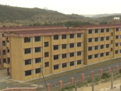 አምባገነኑ ኢሳያስ ትግራዋይ ከትምህረት እንዲርቅ በማድረግ ትግራይ ያልተማረ ትዉልድ እንዲኖራት የቻለውን አድርጓል፡፡