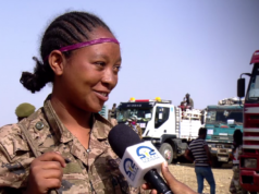 በጀግናው የትግራይ ሰራዊት በጦር ግንባር የተማረኩ ከ4200 በላይ የፋሽስቱ አብይ ቡድን የጦር ምርኮኞች በምህረት ወደ ቀያቸው ተሸኙ።