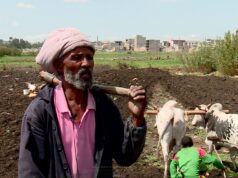 “ዝፀዓርክሉ ፍረ እናራኣኹ ናይ ፅባሕ ጉዕዞይ ብሩህ እዩ” ሓረስታይ ትግራይ