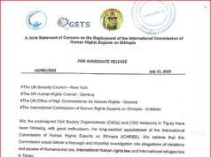A Joint statement of Concern on deployment of the international commission of on Human Right experts on Ethiopia