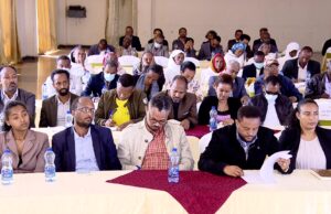 Ethiopian Forces Yet to Disengage