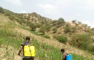 ወራር ባልዓት ኣብ ወረዳ ኣበርገለ የጭላ