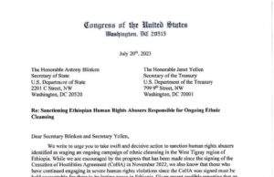 ኣብ ልዕሊ ህዝቢ ዞባ ምዕራብ ትግራይ ገበናት ምፅራይ ዓሌት ኣብ ዝፍፅሙ ዘለው ሓይልታት ፅንተት ስጉምቲ ክውሰድ ይግባእ ኢሎም ኣባላት ኮንግረንስ ኣሜረካ።