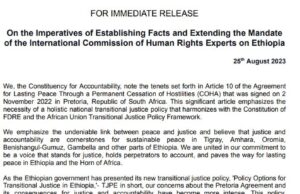51 human rights advocates, civil societies and non-profitable organizations across the world call for establishing facts and extending the mandate of the International Commission of Human Rights Experts on Ethiopia.