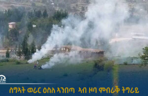 ስግኣት ወራር ዕስለ ኣንበጣ