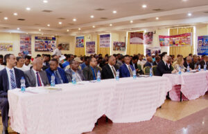 ደቀቕቲ ፣ ኣናእሽተይን ማእኸለዎትን ማንፋክቸሪንግ ኢንዳስትሪ