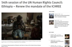 Amnesty International, Human Rights Watch, other civil society and human rights organizations call for the renewal of the mandate of ICHREE