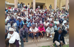 ሓገዝ ቢራ ሓበሻ ንፅጉማት