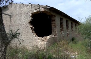 ”ትምህርቲ ብምጅማርና ሕጉሳት ኢና”-ተመሃሮ ቀደማይ ብርኪ ቤት ትምህርቲ ገርሁ ስርናይ