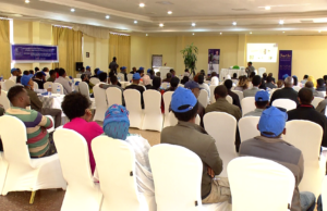 ባንኪ ዳሽን ምስ መንቀሳቐስቲ ደቀቕትን ማእኸለዎትን ኢንተርፕራይዝ ኣብ ዘፈር ምሕደራ ፈጠራ ስራሕን ፋይናንስን ዝጠመተ መድረኽ ኣካይዱ።