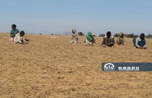 ارتفاع عدد الوفيات إلى ٦٧ بينما يسيطر الجوع على محافظة سوحا سعسع في شرق تيغراي