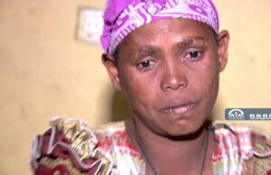 ድርቂ ዝፈጠሮ ጥሜት አብምቁራፅ ተምሃሮ