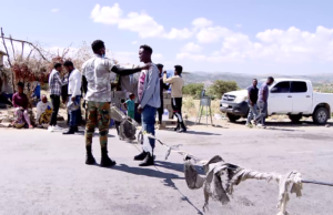 ዋሕዚ ስደት መናእሰይ ትግራይ