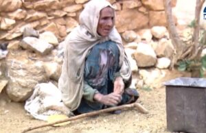 ፃውዒት ህይወት አድሕን ነበርቲ ጣብያ ወልዋሎ