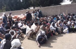 ግደ ነጠፍቲ ማሕበራዊ ሚድያ ተጋሩ አብ ህፁፅ ሓገዝ