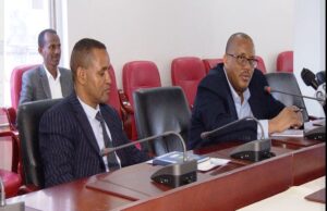 ዘተ ፕረዚደንት ጌታቸው ረዳ ምስ ልኡኽ ጉጅለ ኣባላትፓርላማ ጀርመን