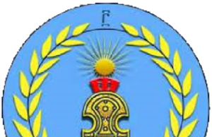 Opposition Salsay Weyane #Tigray Urges Embassies to Adopt Precise Language on the Situation in Tigray