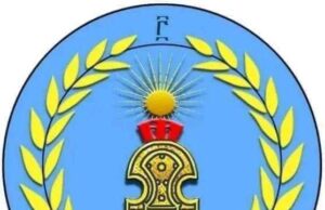 Opposition Salsay Weyane #Tigray Demands End to Hostile Propaganda against Tigrayans