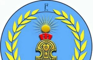 Salsay Weyane Tigray Calls for Accountability and Action, Criticizes Lack of Post-Agreement Progress on Fourth Anniversary of Tigray War