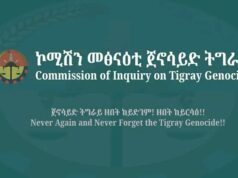 “نؤكد أن المجتمع الدولي فشل في أداء واجبه في حمايتنا”: لجنة التحقيق في الإبادة الجماعية في تيغراي