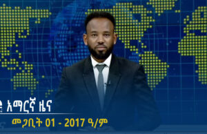 የምሽት 2፡00 አማርኛ ዜና – መጋቢት 01 – 2017 ዓ/ም | #Tigrai_Television | #ቴሌቪዥን_ትግራይ |