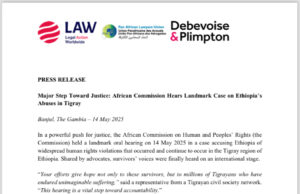 African Commission Holding Pivotal Hearing on Tigray Atrocities, Marked as ‘Major Step Toward Justice’