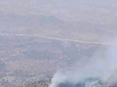 Forest Fire Escalates in Atsbi and Berahle Districts, Authorities Urge Urgent Aerial Response
