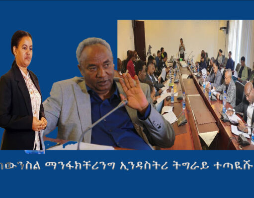 ካውንስል ማንፋክቸሪንግ ኢንዳስትሪ ትግራይ ተጣዪሹ።