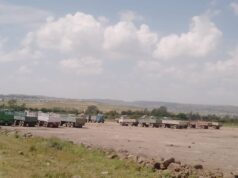 ኣብ ከተማ መቐለ ንሸሞንተ ዓመት ከይለምዐ ዝፀንሐ 114 ሄክታር መሬት ናብ ባንኪ መሬት ኣታዊ ተገይሩ።