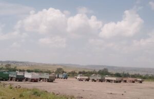 ኣብ ከተማ መቐለ ንሸሞንተ ዓመት ከይለምዐ ዝፀንሐ 114 ሄክታር መሬት ናብ ባንኪ መሬት ኣታዊ ተገይሩ።