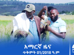 የምሽት 2፡00 አማርኛ ዜና – ጥቅምት – 30/2018 ዓ.ም | #Tigrai_Television | #ቴሌቪዥን_ትግራይ