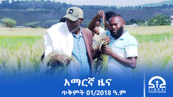 የምሽት 2፡00 አማርኛ ዜና – ጥቅምት – 30/2018 ዓ.ም | #Tigrai_Television | #ቴሌቪዥን_ትግራይ