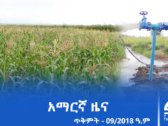 የምሽት 2፡00 አማርኛ ዜና – ጥቅምት – 09/2018 ዓ.ም | #Tigrai_Television | #ቴሌቪዥን_ትግራይ