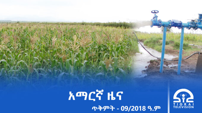 የምሽት 2፡00 አማርኛ ዜና – ጥቅምት – 09/2018 ዓ.ም | #Tigrai_Television | #ቴሌቪዥን_ትግራይ