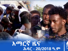 የምሽት 2፡00 አማርኛ ዜና – ሕዳር – 20/2018 ዓ.ም | #Tigrai_Television | #ቴሌቪዥን_ትግራይ