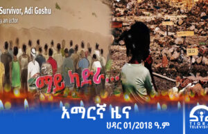 ምሽት 2፡00 አማርኛ ዜና – ህዳር – 01/2018 ዓ.ም | #Tigrai_Television | #ቴሌቪዥን_ትግራይ
