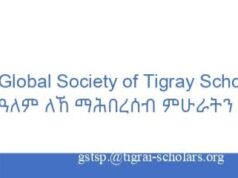 GSTS Issues Emergency Appeal as IDPs Die of Starvation in Several Camps of #Tigray